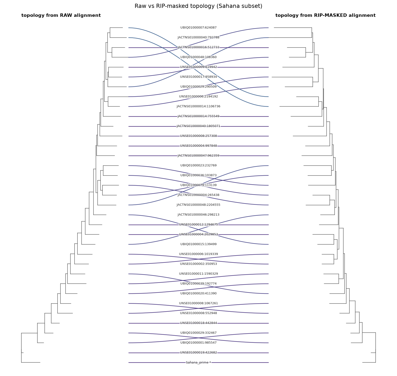 Tanglegram of the raw vs RIP-masked topologies