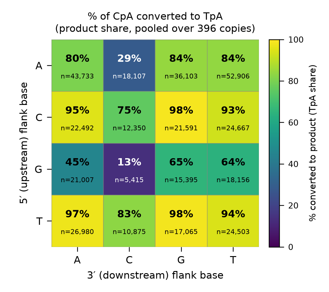 1 bp flank conversion heatmap