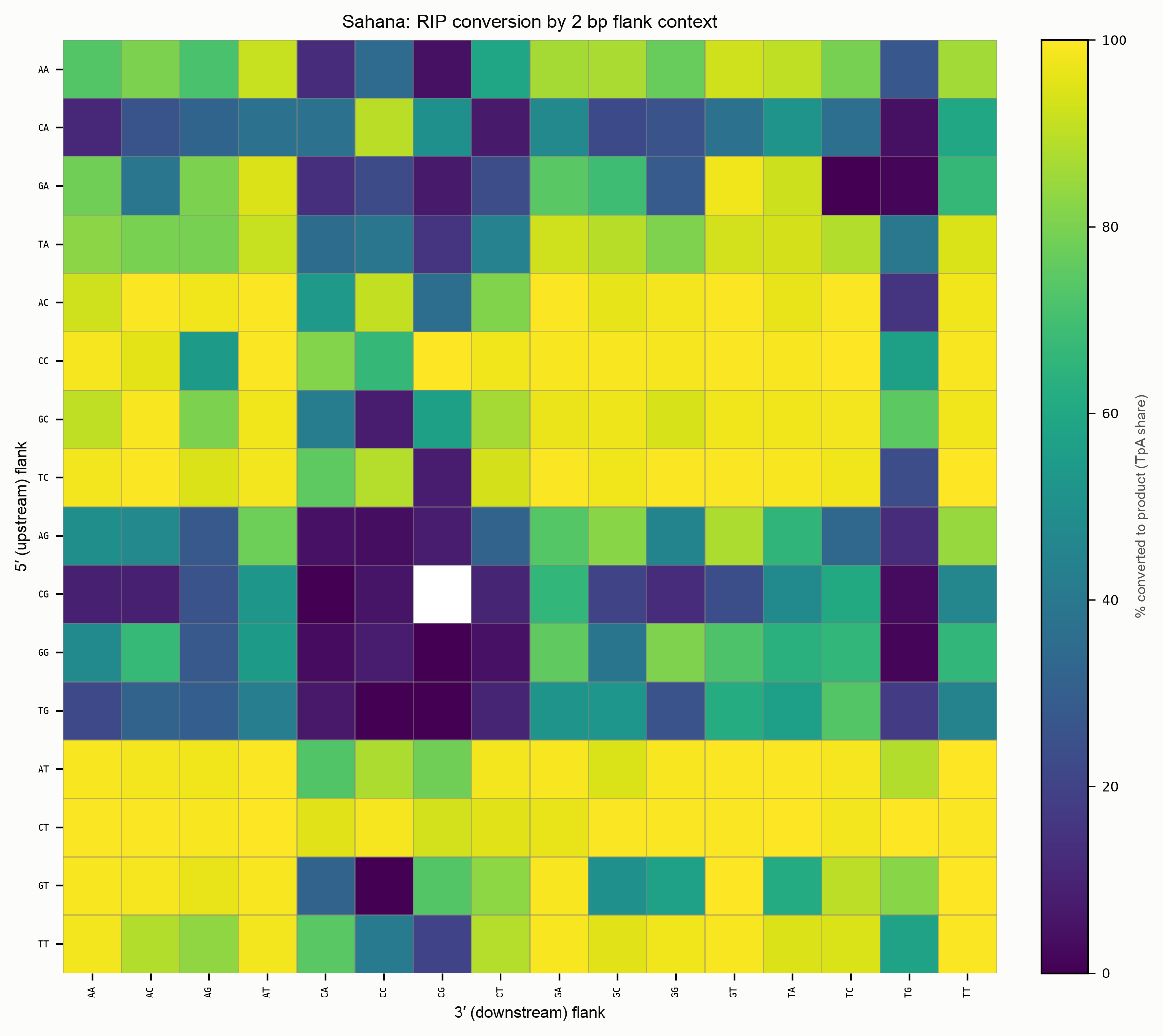 2 bp flank conversion heatmap