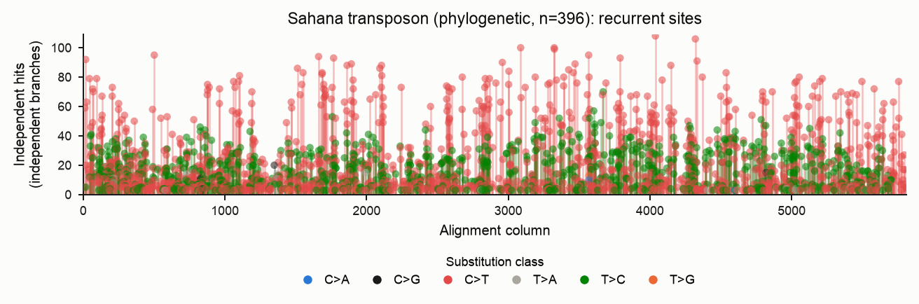 Recurrent sites, phylogenetic